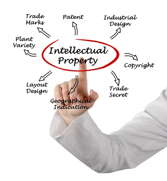 Intellectual Property — Stock Photo, Image