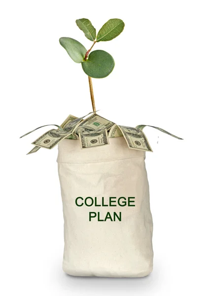 College plan — Stock Photo, Image