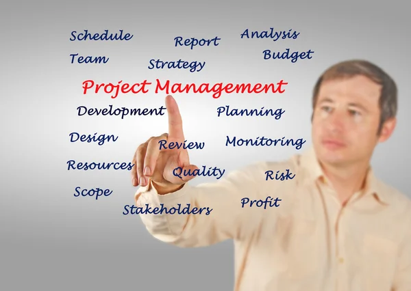 Project management — Stock Photo, Image