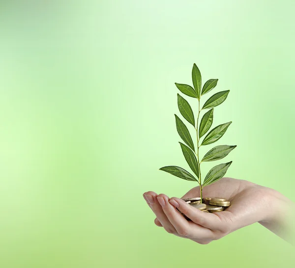 Investing to green business — Stock Photo, Image