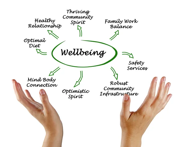 Diagram of Wellbeing — Stock Photo, Image