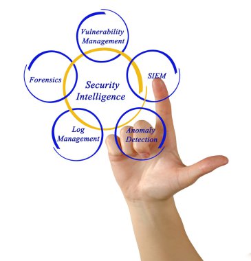 Güvenlik istihbaratı