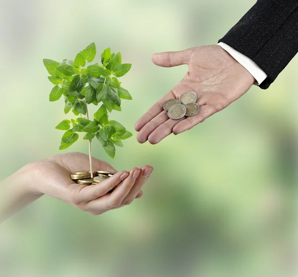 Investing to green business — Stock Photo, Image