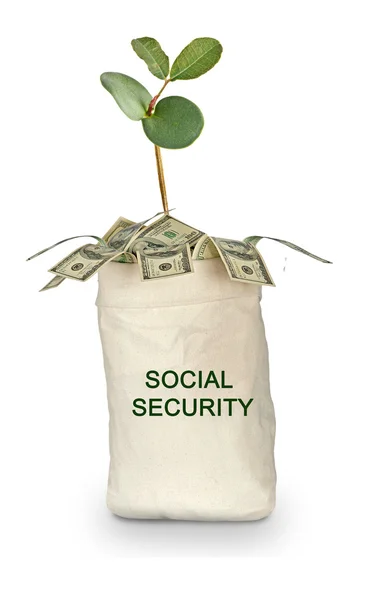 Social security — Stock Photo, Image