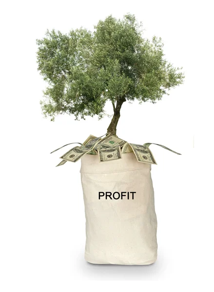 Borsa con profitto — Foto Stock