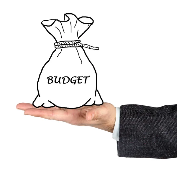 Bag with budget — Stock Photo, Image