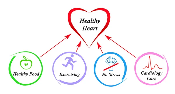 Coração saudável — Fotografia de Stock