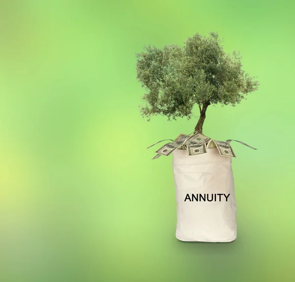 Bag with annuity — Stock Photo, Image
