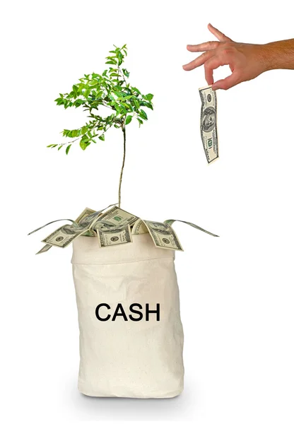 Bag with cash — Stock Photo, Image