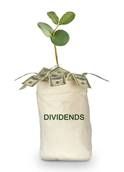 Bag of dividends — Stock Photo, Image