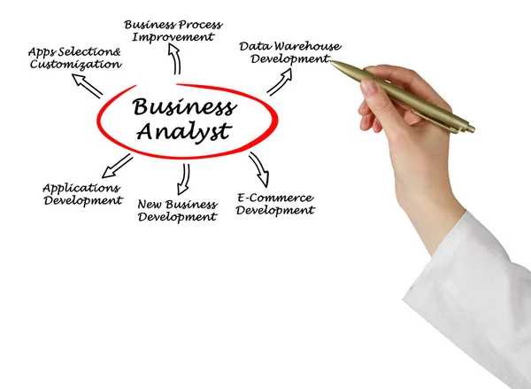 Business Analyst — Stock Photo, Image
