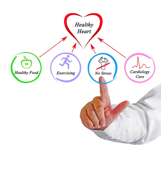 Healthy heart — Stock Photo, Image