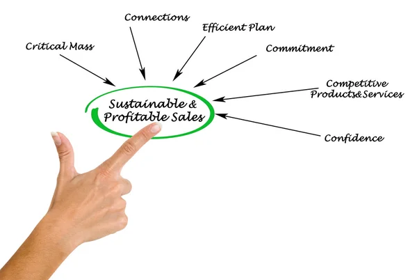 Sustainable and Profitable Sales — Stock Photo, Image