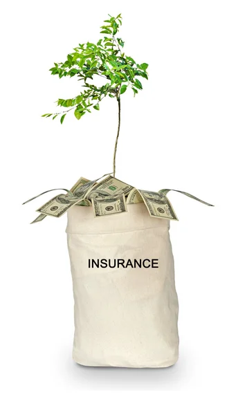 Bag with insurance — Stock Photo, Image