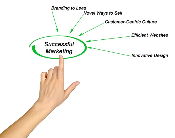 Diagram of successful marketing — Stock Photo, Image