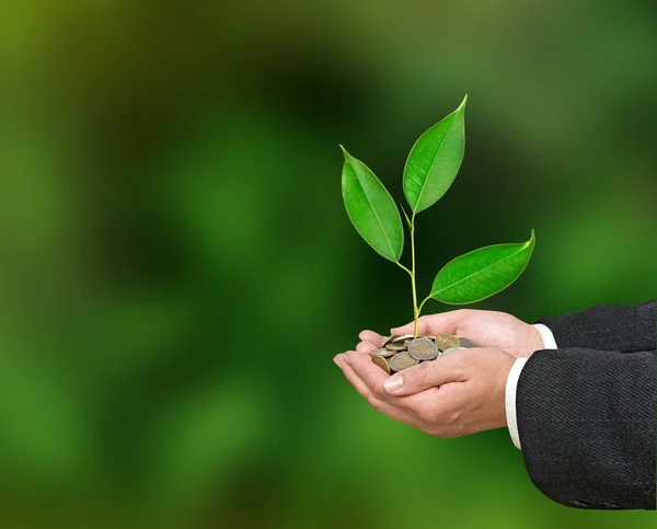 Investing to green business — Stock Photo, Image