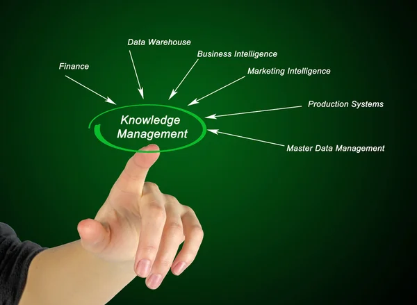 Knowledge Management — Stock Photo, Image