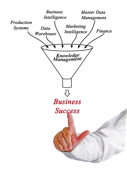 Knowledge Management — Stock Photo, Image