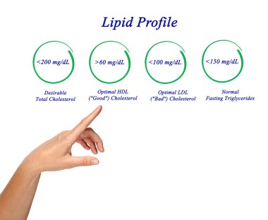 Lipid profili