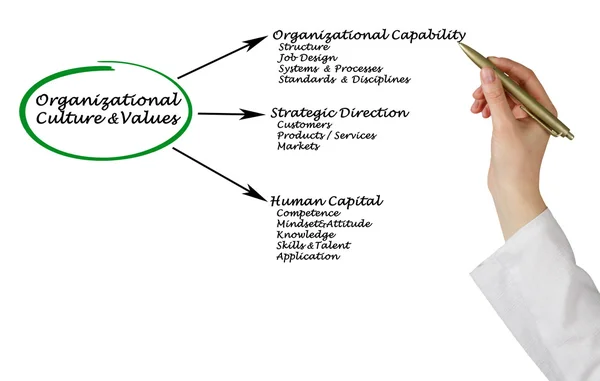Diagram of Organizational Culture&Values — Stock Photo, Image