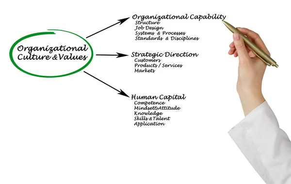 Διάγραμμα της οργανωτική κουλτούρα & τιμές — Φωτογραφία Αρχείου