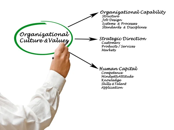 Organizational Culture&Values — Stock Photo, Image