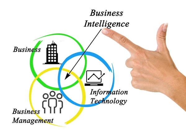 Business Intelligence — Stockfoto