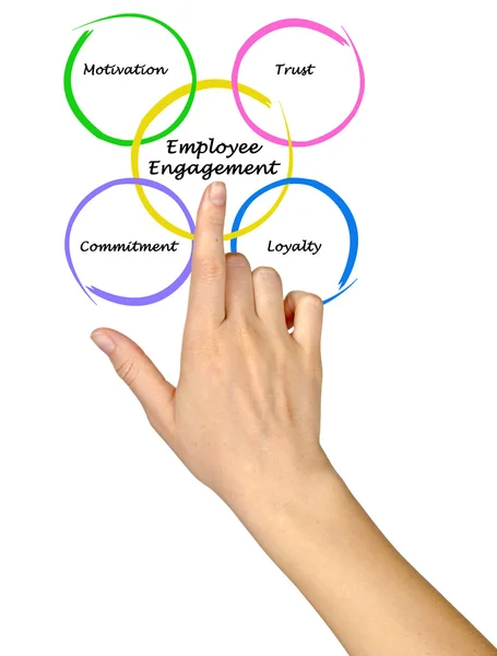 Employee Engagement — Stock Photo, Image