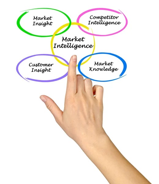 Market Intelligence — Stock Photo, Image