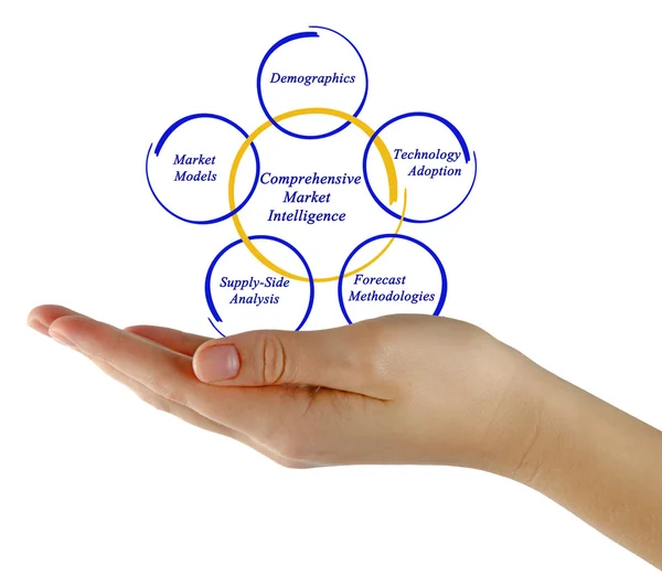 Diagram of Comprehensive Market Intelligence — Stock Photo, Image