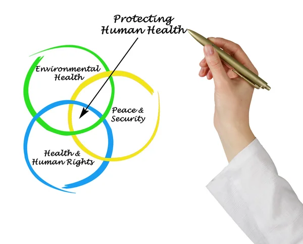 Diagrama de protección de la salud humana — Foto de Stock