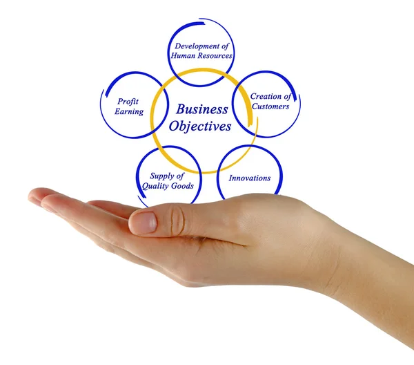 Diagram of Business Objective — Stock Photo, Image