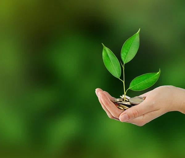 Investing to green business — Stock Photo, Image