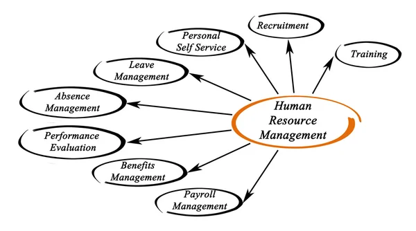 Gestão dos recursos humanos — Fotografia de Stock