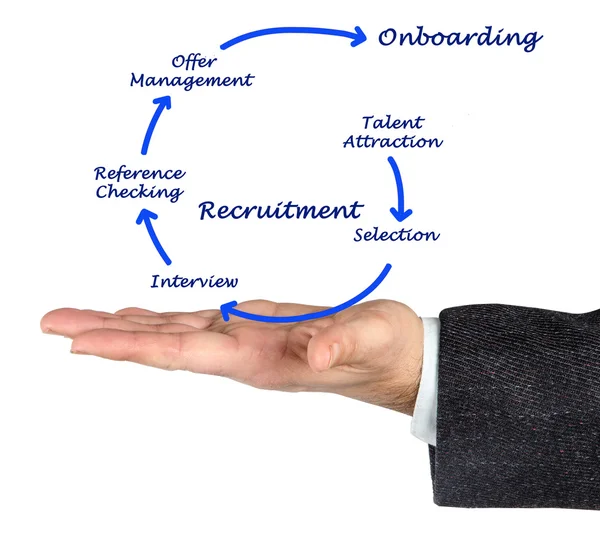 Diagram of recrutment process — Stock Photo, Image