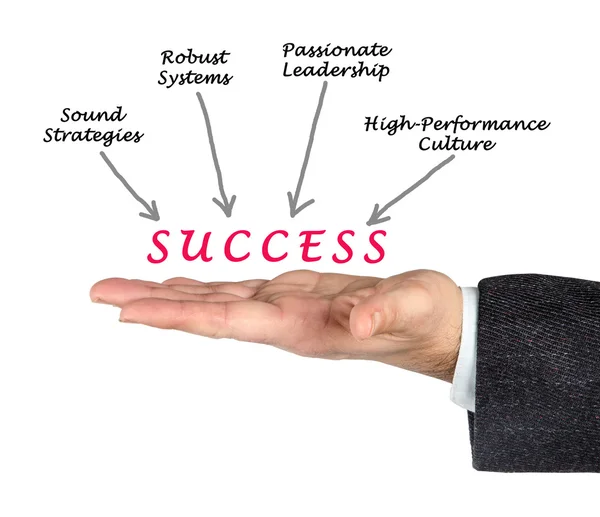 Diagram of success — Stock Photo, Image