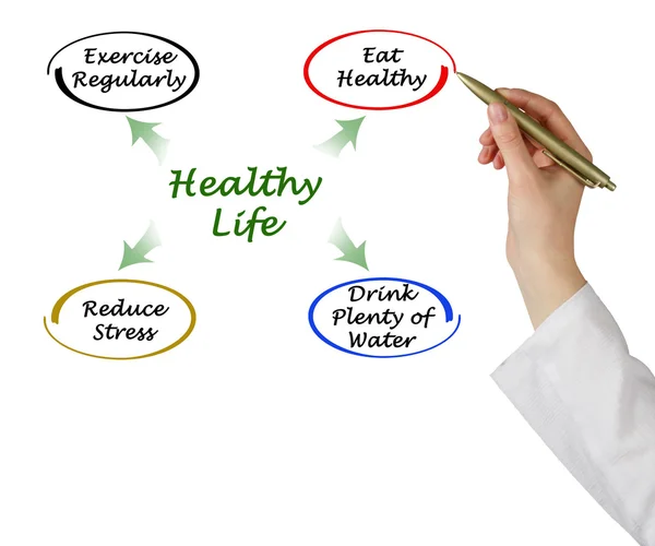 Diagram zdravého života — Stock fotografie