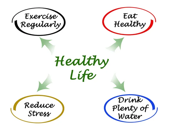 Diagrama de la vida sana — Foto de Stock