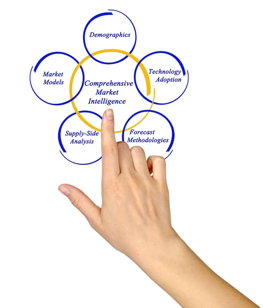 Diagram of Comprehensive Market Intelligence — Stock Photo, Image