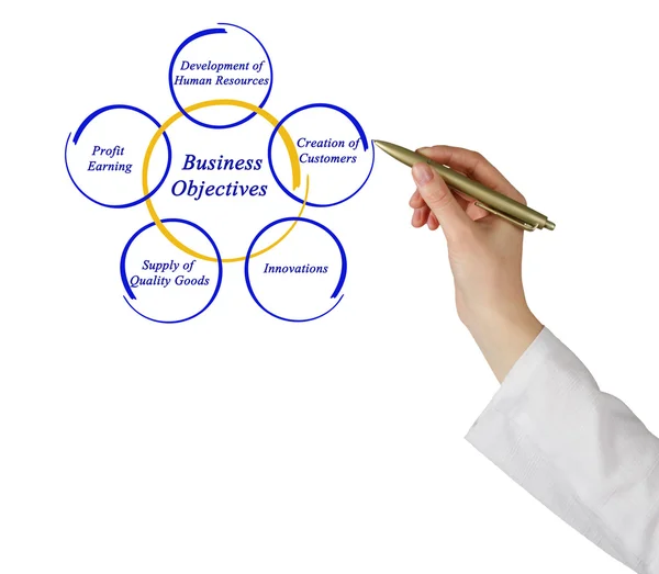 Diagrama del objetivo empresarial — Foto de Stock