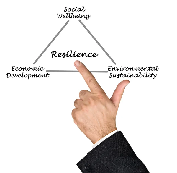 Diagram of resilience — Stock Photo, Image