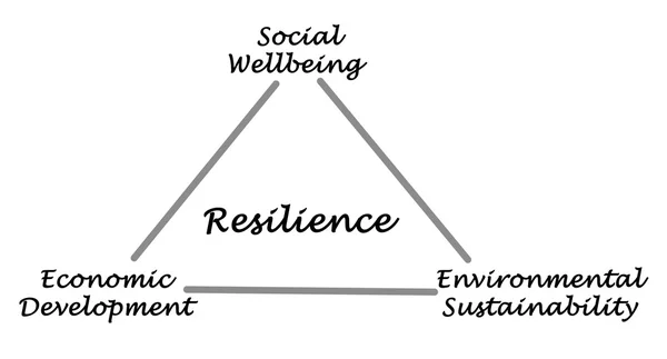 Grafico di resilienza — Foto Stock