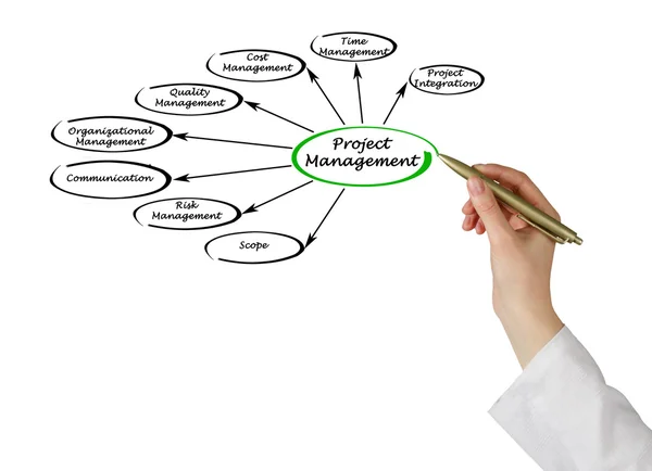 Diagram van projectmanagement — Stockfoto