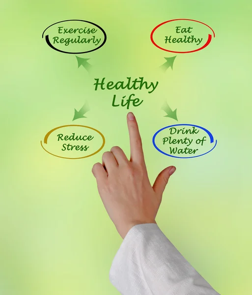 Diagrama de vida saudável — Fotografia de Stock