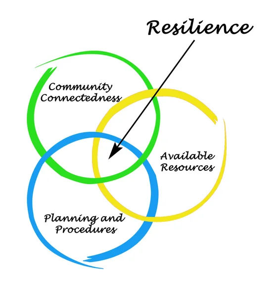 Diagrama de resiliencia — Foto de Stock