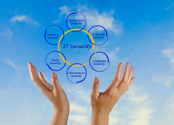 Diagrama de seguridad informática — Foto de Stock