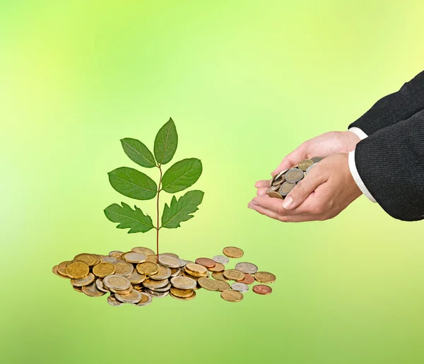 Investing to green business — Stock Photo, Image