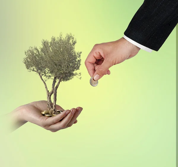 Investing to green business — Stock Photo, Image