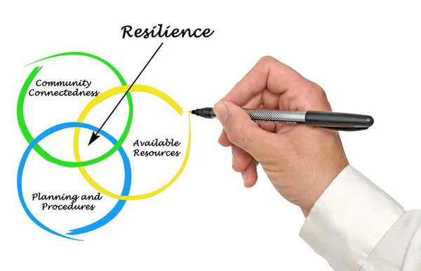 Diagrama de resiliencia — Foto de Stock