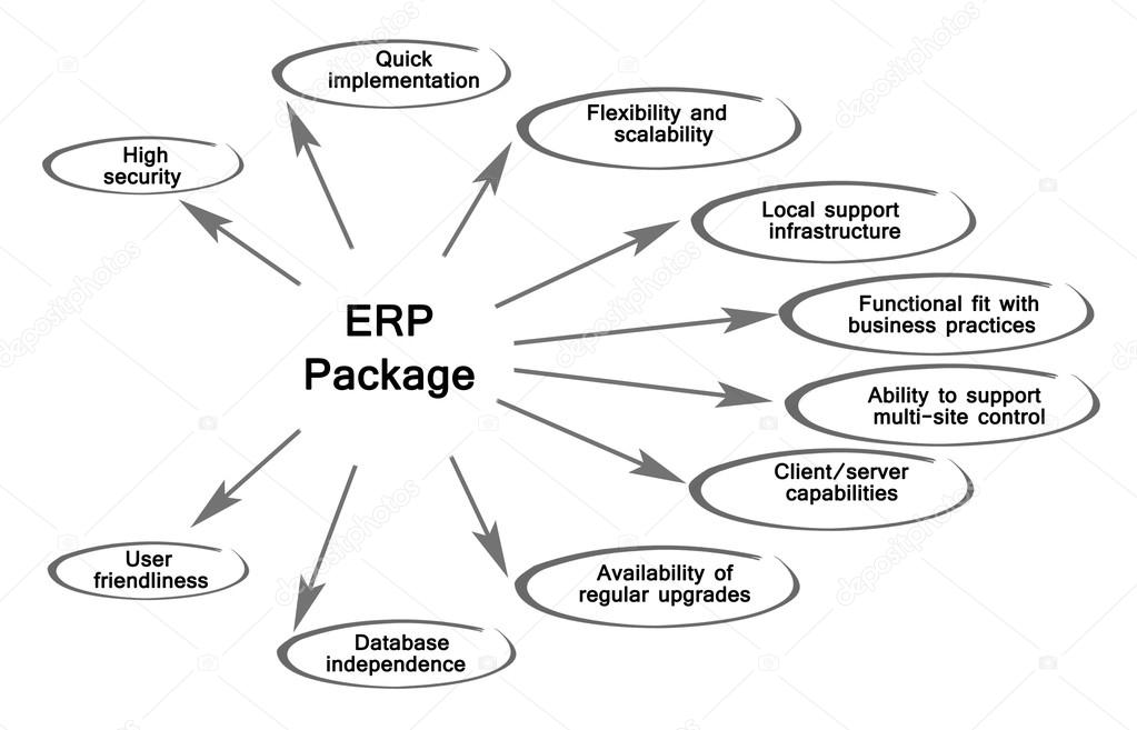Diagram of  ERP Package	